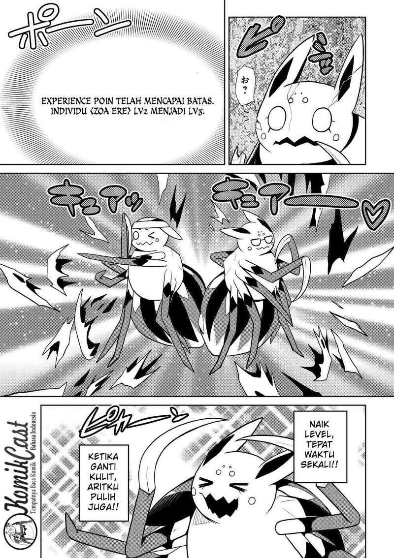 Kumo desu ga, Nani Ka?